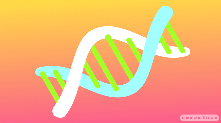 What is DNA? Thumbnail